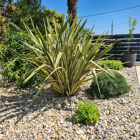 Adriatic, Chiara With Swimming Pool, Children Playground And Gameing For Adult * Ičići