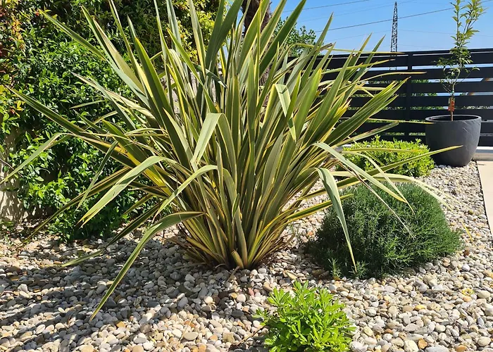 Adriatic, Chiara With Swimming Pool, Children Playground And Gameing For Adult * Ičići